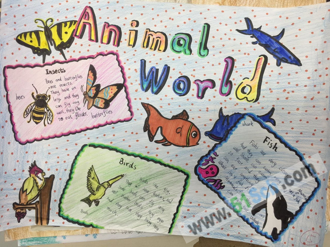 animal world动物世界英语手抄报