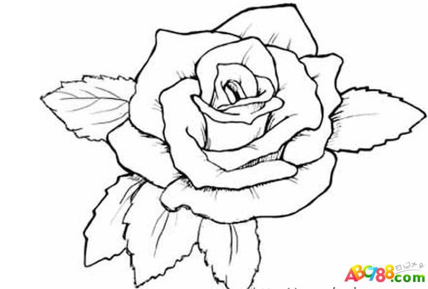 漂亮的玫瑰花瓣简笔画