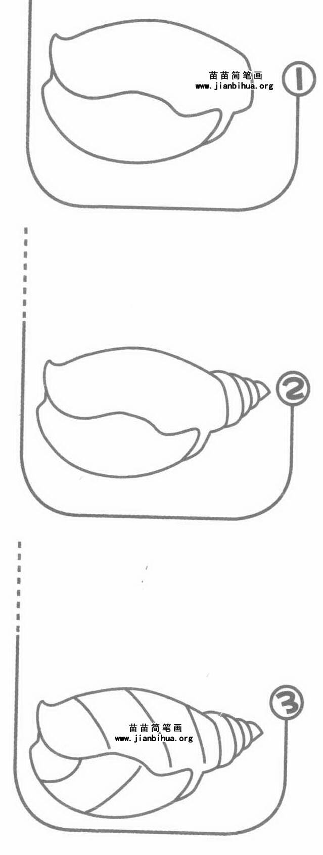 海螺简笔画分步骤图片教程