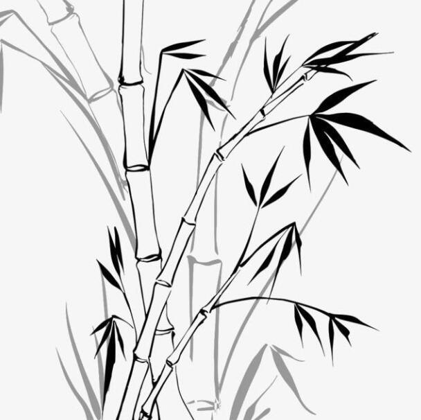 竹子背景简笔画图片